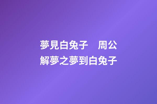 夢見白兔子　周公解夢之夢到白兔子